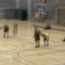 (Buzz) Il tente de marquer contre son camp à trois reprises et se fait contrer par un coéquipier